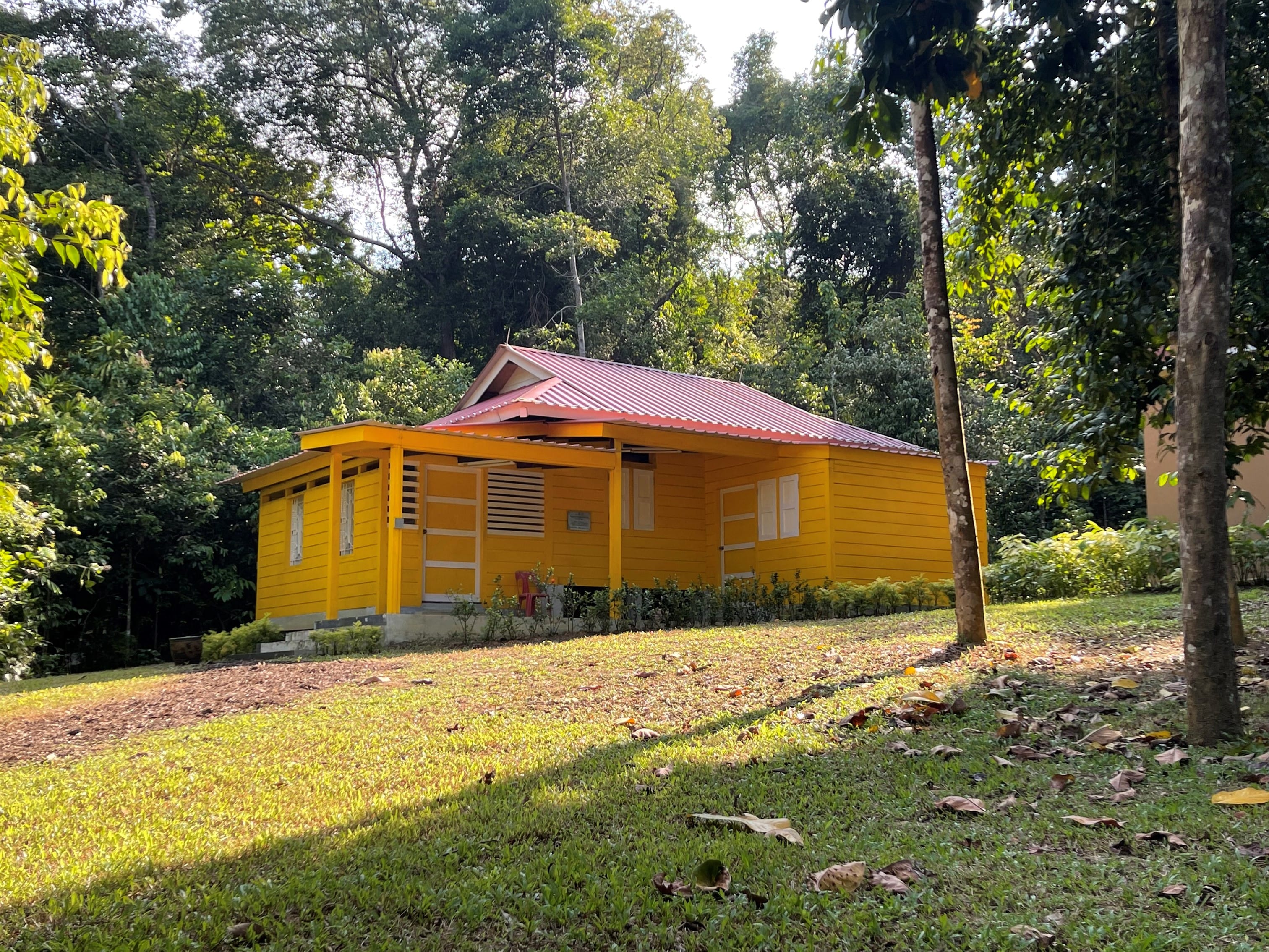 A yellow house with a red roof in a clearing in the forest.